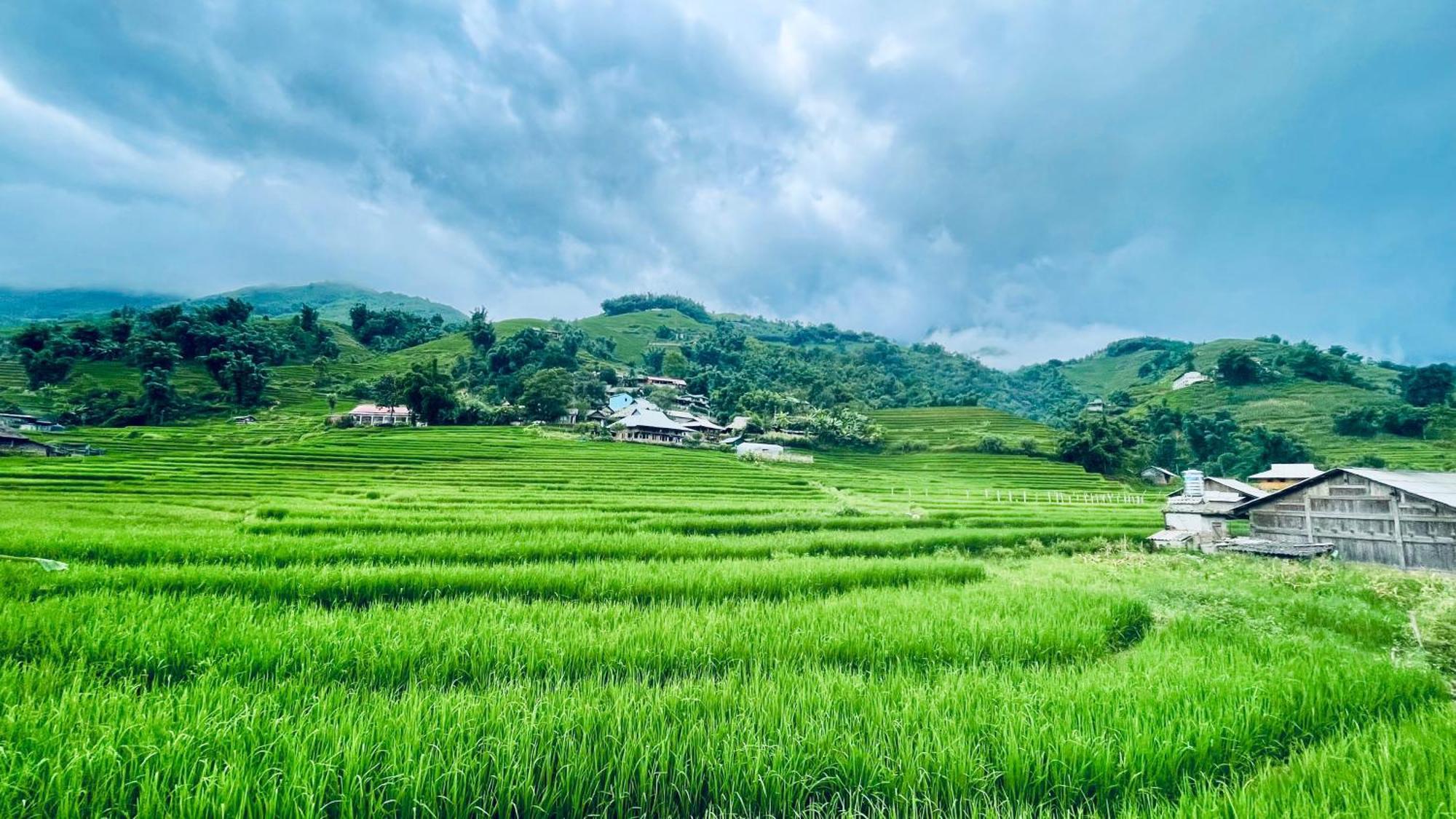 Eco Rice Fields House Hostel Sa Pa Exterior photo
