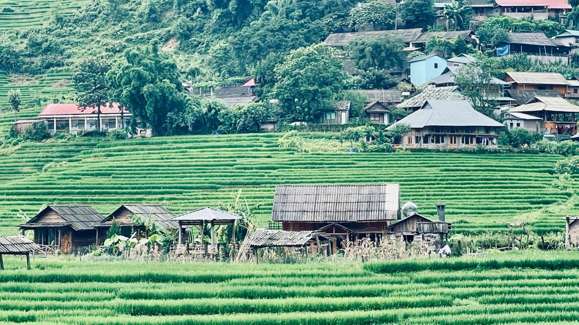 Eco Rice Fields House Hostel Sa Pa Exterior photo